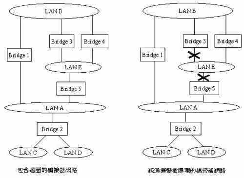 《圖七　擴張樹網路》