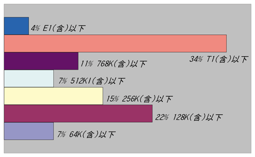 《圖二　受訪網站使用頻寬》