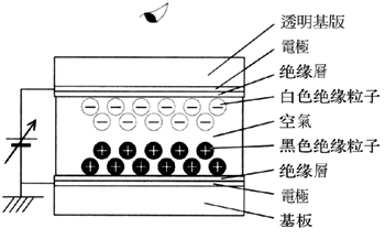 《圖五　微粒顯示器結構》