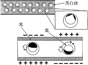 《圖一　Cyricon顯示器內部結構圖》