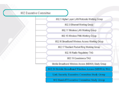 《圖二　IEEE 802組織下的群組》