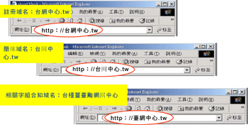 《圖二　申請域名的繁簡體選擇》