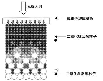 《圖二　可高效率發揮光線封閉效應的二氧化鈦電極結構》