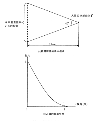 《圖五　決定觀視條件的考量因素》