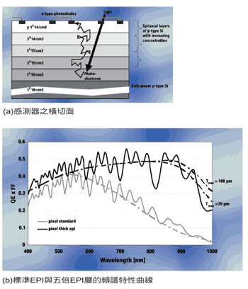 《圖四　從多個EPI層搜集的光電子可將靈敏度延伸至近紅外線（NIR）的範圍》