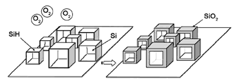 《圖十一　矽微粒子大小的經時特性模型》