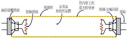 《圖一　螢光燈管基本構造》