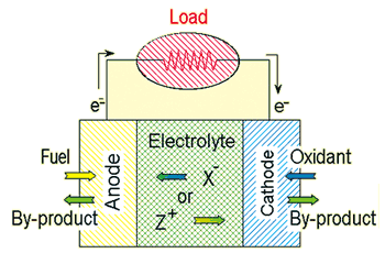 《圖六　燃料電池的工作原理示意圖》