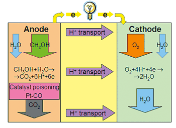 《图八 直接甲醇燃料电池工作原理示意图》