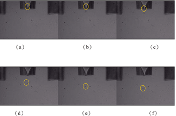 《圖六　PEDOT溶液在不同延遲時間下驅動閃頻LED所擷取的液滴形成畫面。從(a)到(f)，閃頻燈的延遲時間分別為30μs、50μs、80μs、150μs、200μs與250μs。》