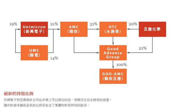 圖二 :  絕妙的持股比例 資料提供：大槻智洋