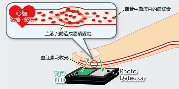 图2 : 脉搏监测IC的构造