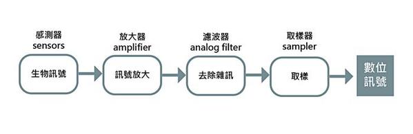 图1 : 生物讯号处理步骤。 (绘图／林彦伶)