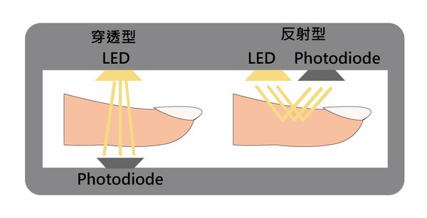 圖2 : 左邊為穿透型，右邊為反射型。(繪圖／林彥伶)