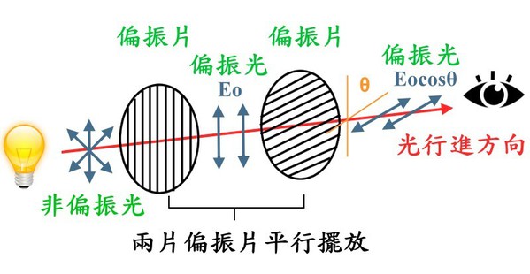 圖3 : 非偏振光通過兩片偏振片之示意圖