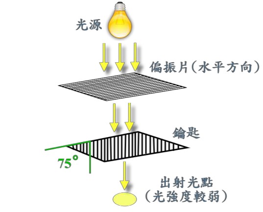 图6 : 偏振片夹角 75°出射光较弱之示意图
