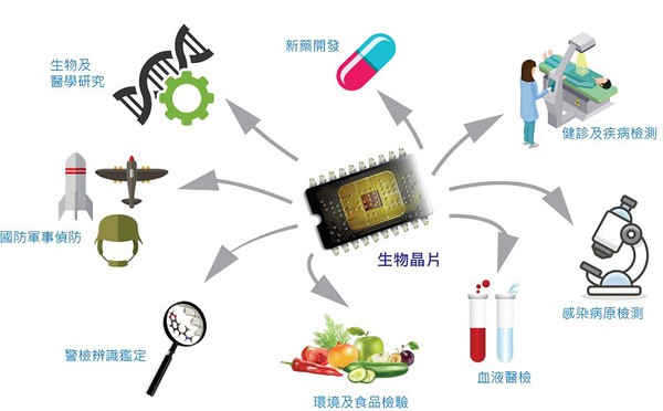 圖1 : 生物晶片的應用範疇(source:工研院生物醫學工程中心/CTIMES製圖;2018/06)