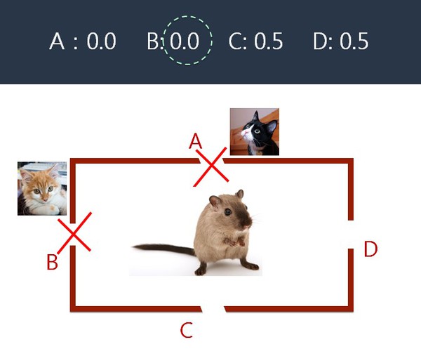 图3 : 也就记住了B洞外有猫