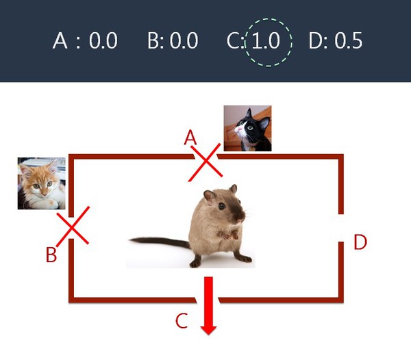 图4 : 记住了C洞外没有猫