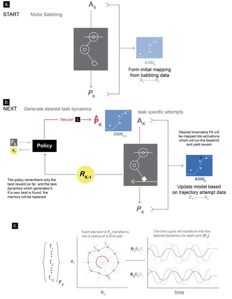 圖4 : G2P演算法。(source：Marjaninejad, et al.)