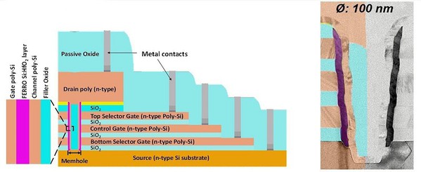 圖三 : 圖左為通心麵型的3D FeFET切面示意圖，可見三個記憶單元串聯；圖右為穿透式電子顯微鏡（transmission electron microscopy，TEM）下的切面圖（直徑：100nm）。