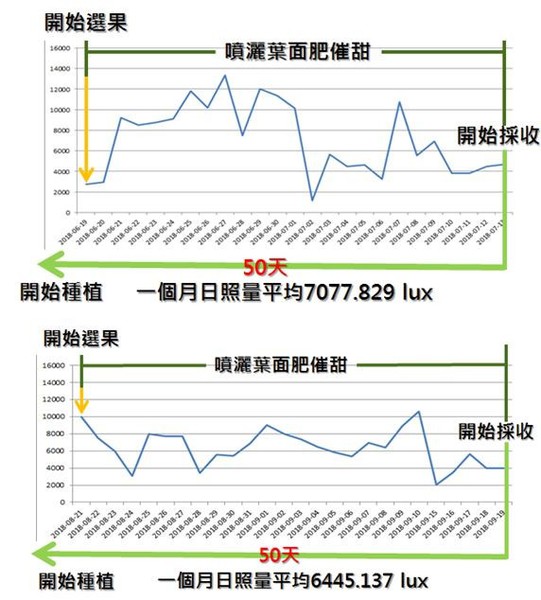 圖25 : 兩種期日照比較