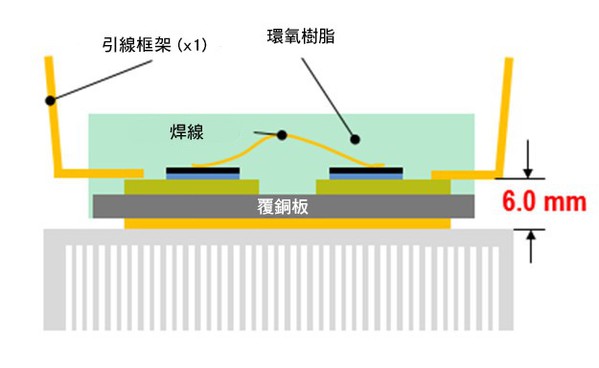 圖2 : 新的轉移成型PIM（TMPIM）模組的橫截面