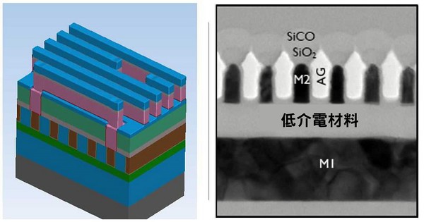 圖七 : 半鑲嵌製程模組的示意圖（左圖）以及其掃描式電子顯微鏡（SEM）影像（右圖）。