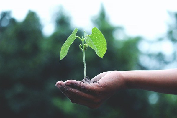 图三 : 半导体的制造成本十分高昂。不仅用水用电量大，还会产生有害废弃物，整体供应链必须致力解决这个问题，而且需要从生态系统的角度出发。