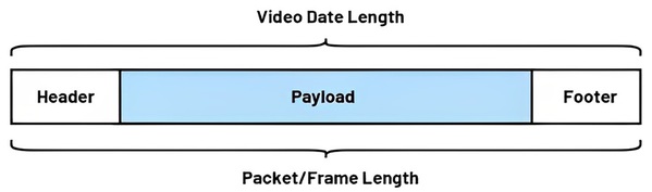 圖六 : 資料幀/資料封包中的有效載荷和開銷