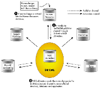 网威(Novell) DirXML(图片来源︰Novell网站)