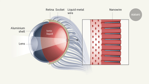 近期研究员在Nature发表了人造眼的研究，并命名为