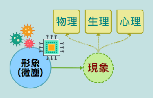 從形象產生種種現象與交互作用示意