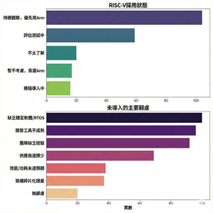 RISC-V的导入采用考量。